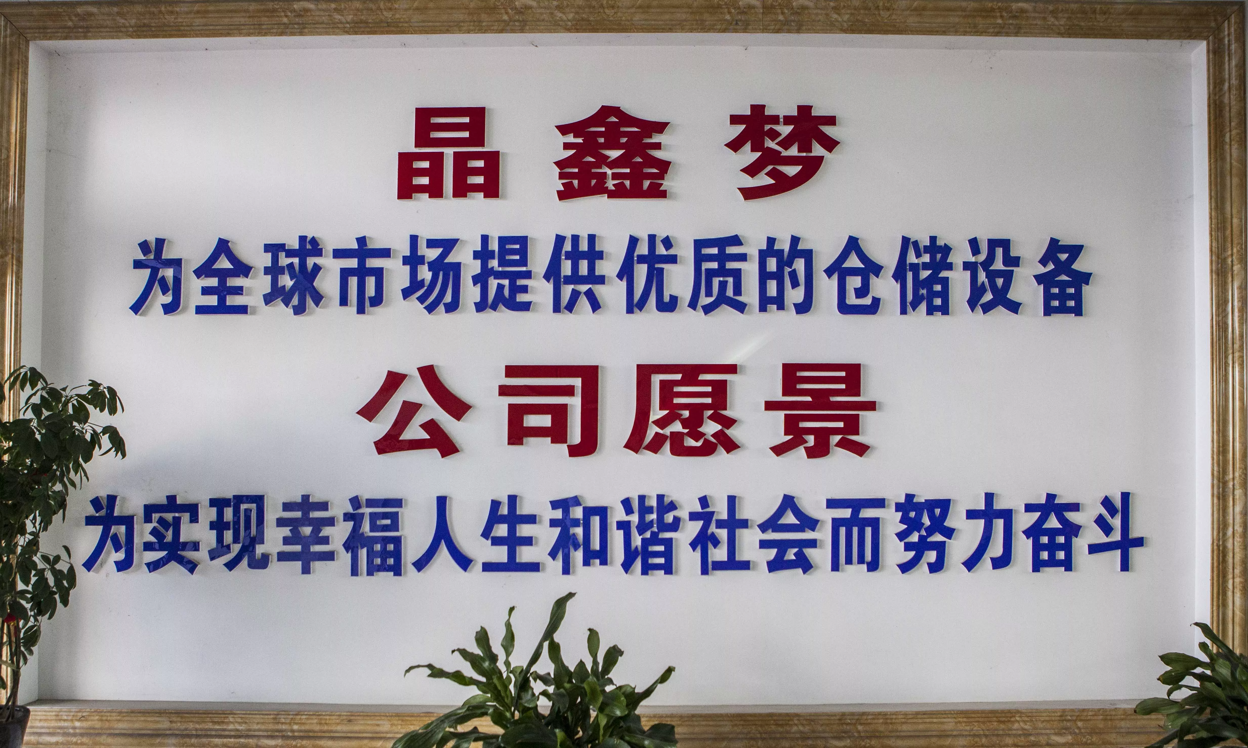 Jingxinlong's Vision