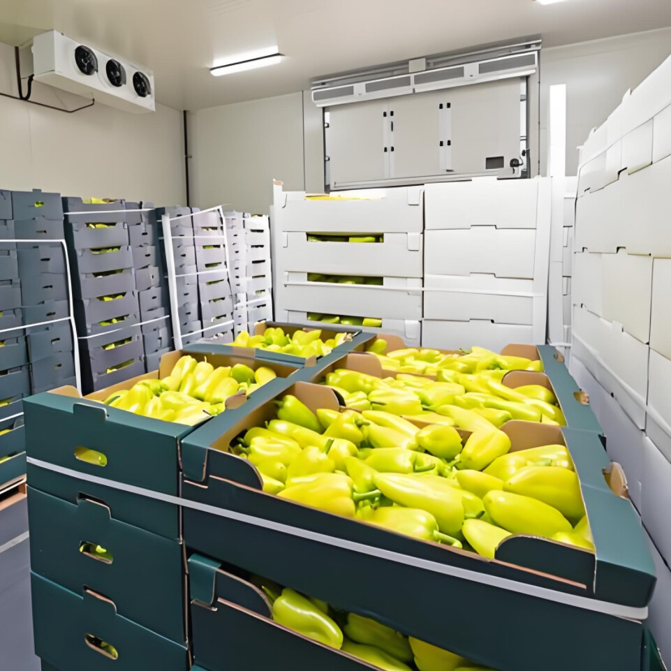 Cold storage warehouses.jpg